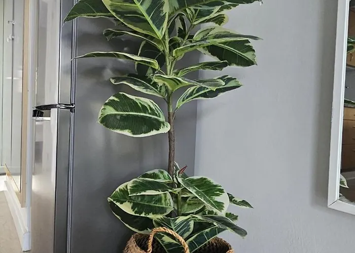 Casa Mia Appartamento *